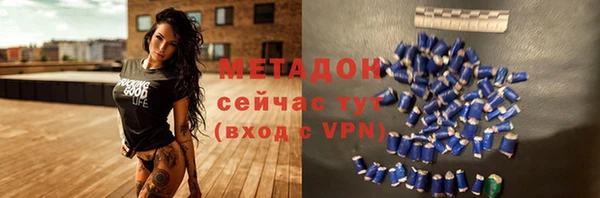 гашик Алексин