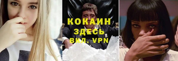 гашик Алексин