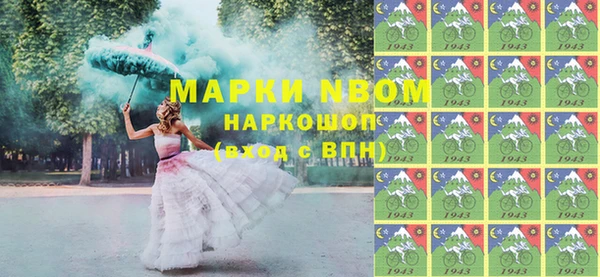 гашик Алексин