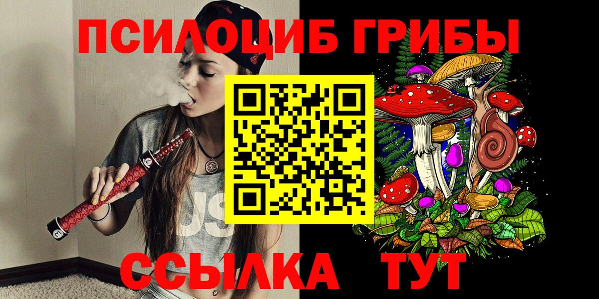 Черемхово  Псилоцибиновые грибы Cubensis  Вход с VPN 
